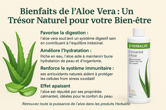 Bienfaits de l'Aloe Vera : Un Trésor Naturel pour votre Bien-être
