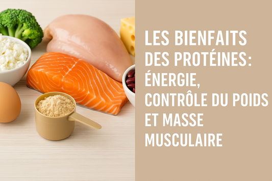 Les bienfaits des protéines : énergie, contrôle du poids et masse musculaire